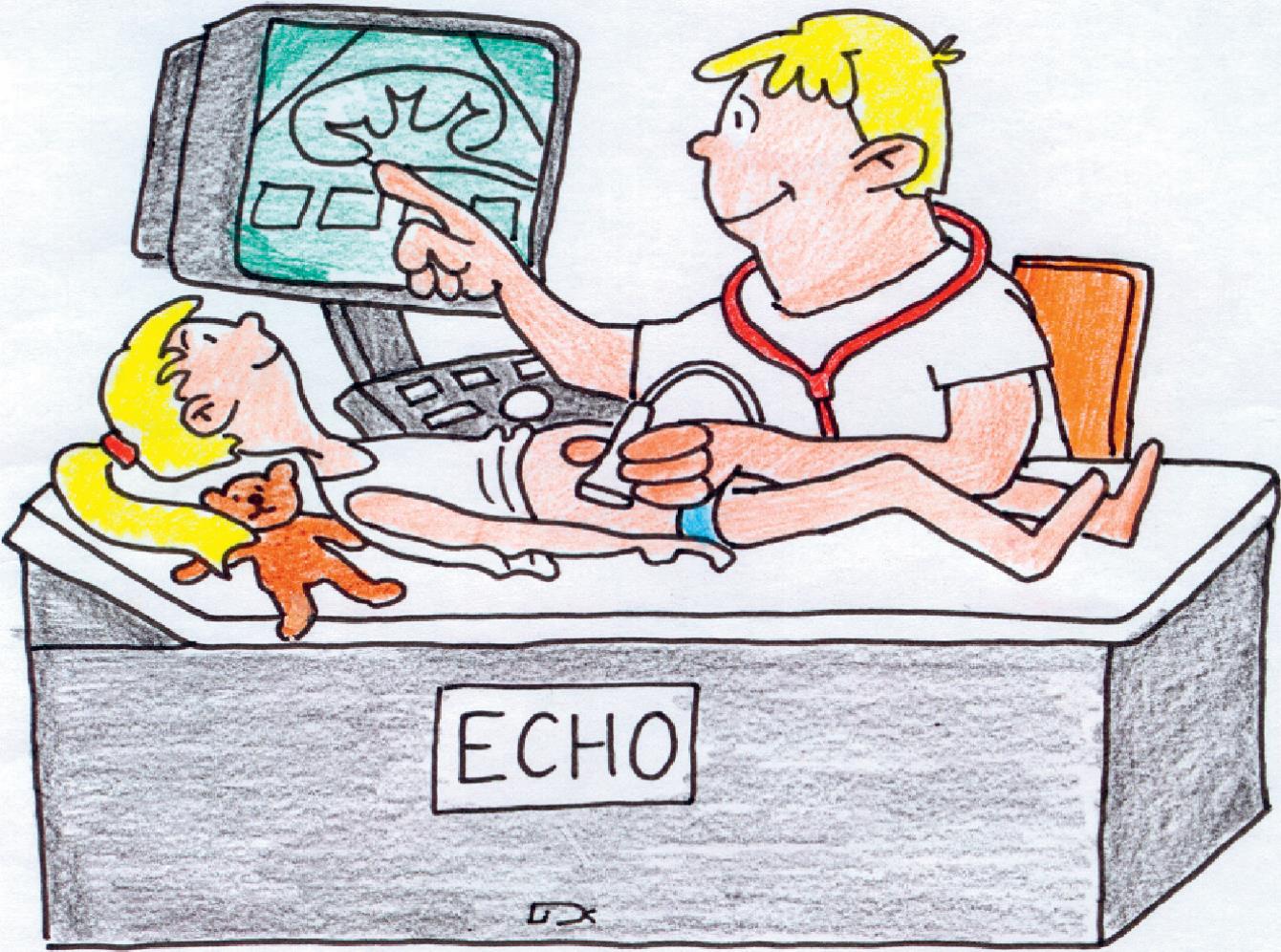 Echo onderzoek van de lever